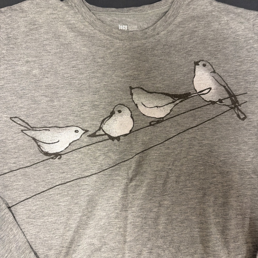 gray long-sleeve crewneck t-shirt graphic of four small birds Lucy